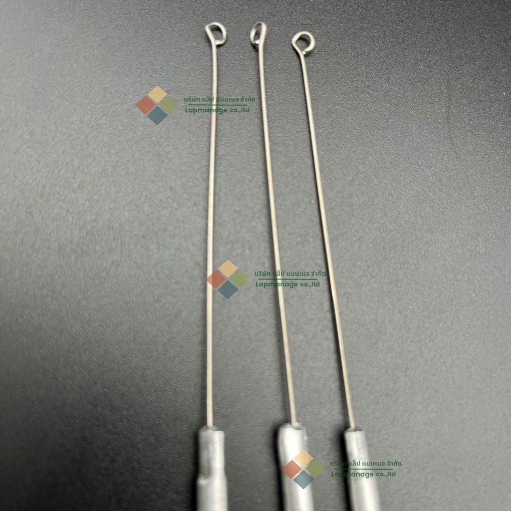 Loop Standless เข็มเขี่ยเชื้อปลายกลม