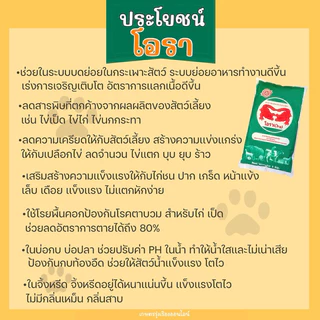 โอรา ยกกระสอบ24ถุง สารกำจัดกลิ่นเหม็นในคอกสัตว์ (สกัดจากเเร่ธาตุภูเขาไฟปลอดภัยต่อสัตว์เเละมนุษย์ 100%) บรรจุ 1กิโลกรัม