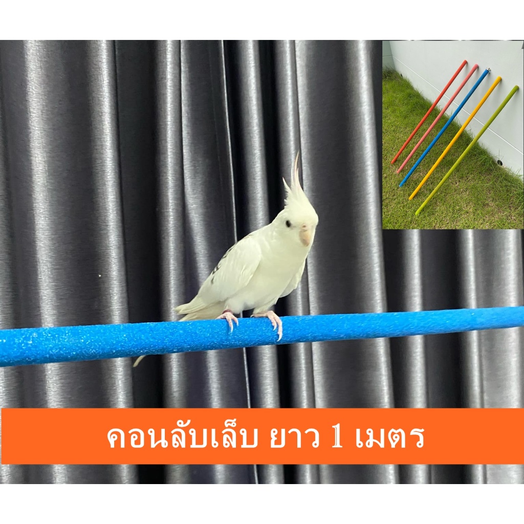 คอนยืนนก คอนลับเล็บ คอนนก ไม้หนา20มิล ยาว50cm. -1เมตร ใช้ได้กับนกทุกชนิด