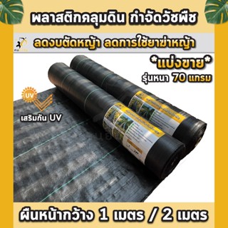 (ผืน) พลาสติกคลุมดิน ผ้าคลุมดิน ผ้าคลุมหญ้า พลาสติกคลุมหญ้า …