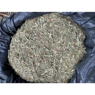 NEW ทิโมธีป่น หญ้าเต่าบก 10kg ทิโมธีป่น เกรดซุปเปอร์พรีเมียม