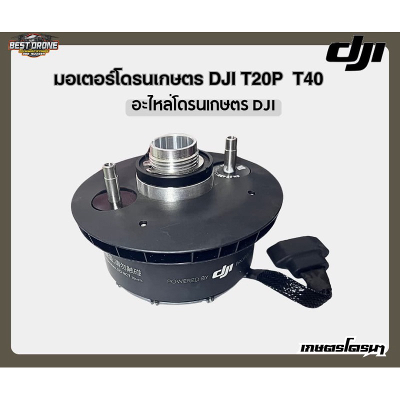 มอเตอร์ DJI  T20P/40