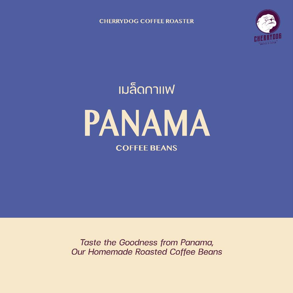 Cherrydog | เมล็ดกาแฟ คั่วอ่อน ปานามา Panama | Single Origin (Filter) | อาราบิก้า 100%