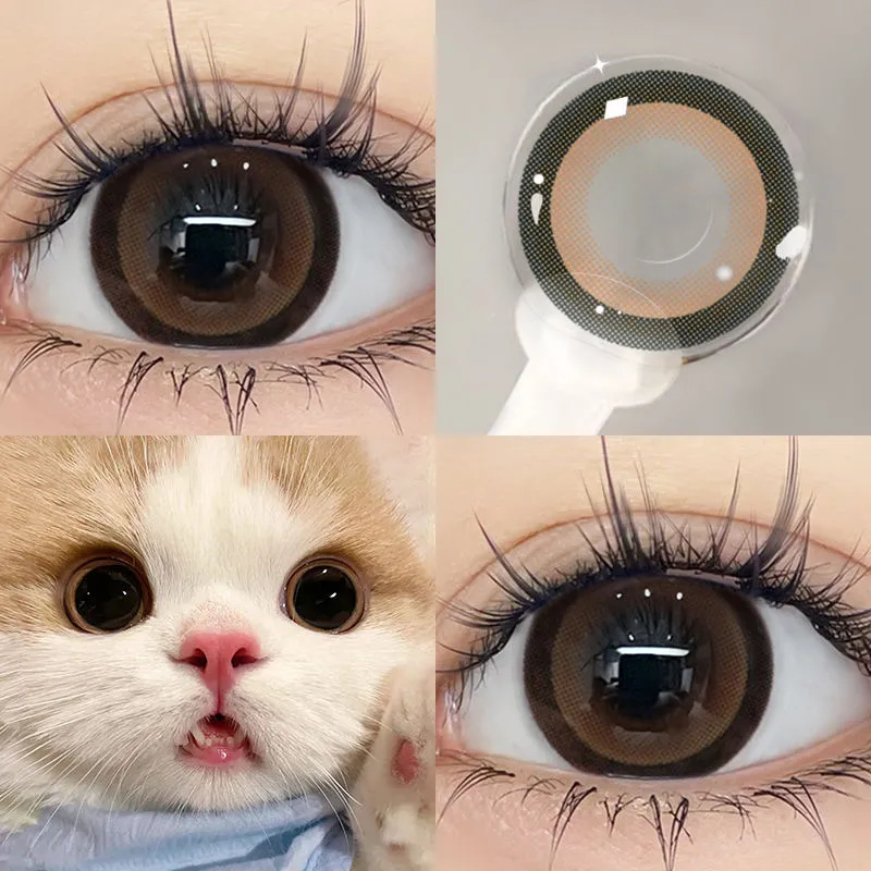 (COD) คอนแทคเลนส์สีขนาดเส้นผ่านศูนย์กลาง 14-14.5MM คอนแทคเลนส์คอนแทก kawaii คอนแทคเลนส์ brown คอนเทค เลนส์ คอนแทคเลนส์