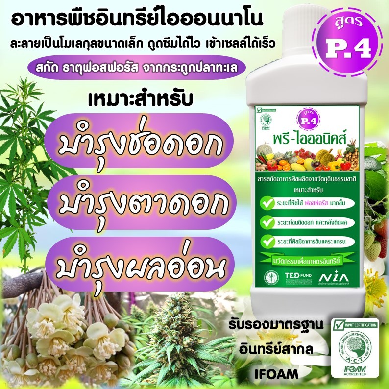 สารสกัดอาหารพืช (สูตรP4) ทดแทน ปุ๋ยฟอสฟอรัสเคมี สำหรับปลูก พืชอินทรีย์ รับรองมาตรฐานอินทรีย์ IFOAM