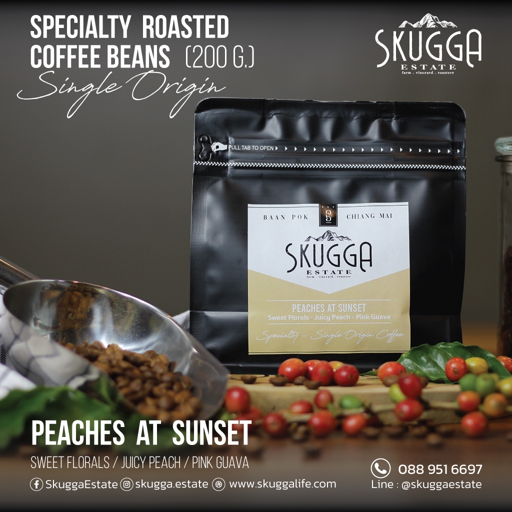 "Peaches at Sunset" Specialty Coffee Bean