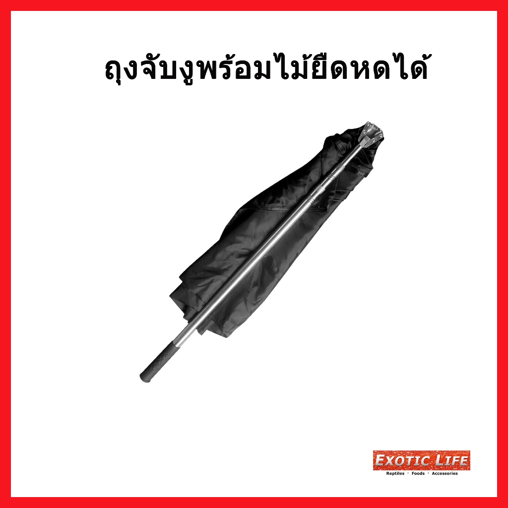 อุปกรณ์จับสัตว์เลื้อยคลาน งู ตุ๊กแก ขาจับโลหะยืดหดได้มาพร้อมกับถุงผ้าอย่างดีน้ำหนักเบาใช้งานง่ายแข็งแรง