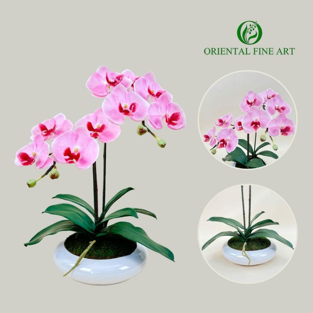 กระถางดอกกล้วยไม้ประดิษฐ์ Phalaenopsis orchid plant pot ดอกไม้ปลอมตกแต่งบ้าน