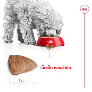 Royal Canin Mini Indoor Adult รอยัลคานิน สุนัขโต พันธุ์เล็ก เลี้ยงในบ้าน อายุ 10 เดือน - 8 ปี 3 kg