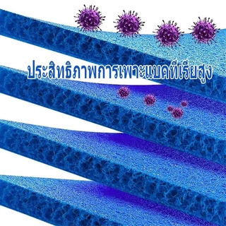 Filter Mat ใยกรองญี่ปุ่นหนาพิเศษ ชนิดหยาบ 100x50x4cm 50x50x4cm 50x50x5cm 100x100x4cm. แพค ใยกรองชนิดหนาพิเศษ