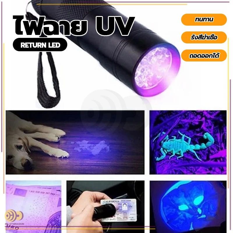 ไฟฉาย ตรวจธนบัตรปลอมแบงค์ปลอม ไฟฉายยูวี UV ไฟฉายแบล๊คไลท์ ไฟฉายแสงสีม่วงBLACK LIGHT 9LED สีดำ - รูปที่ 2