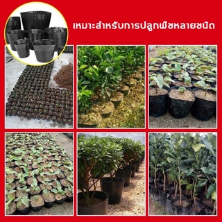 กระถางต้นไม้พลาสติก Buy 10 get 3 free ชิ้น กระถางพลาสติกเพาะต้นกล้า กรถางปลูกต้นไม้