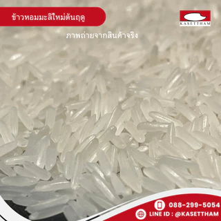 14 กก. ข้าวหอมมะลิใหม่ต้นฤดูปี69คัดพิเศษ100%เม็ดสวยไม่มีหัก ข้าวสารตราส้มเขียวหวาน ราคาโรงสีส่งฟรี สั่ง 2 ถุงคุ้มค่าส่งN