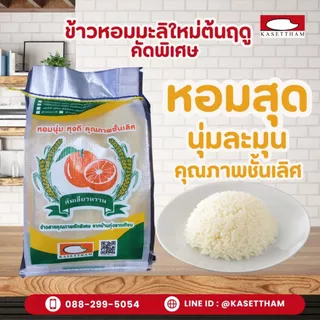 25 กก. ข้าวหอมมะลิใหม่ต้นฤดูปี69คัดพิเศษ100%เม็ดสวยไม่มีหัก ข้าวสารตราส้มเขียวหวาน ราคาโรงสี ส่งฟรี N