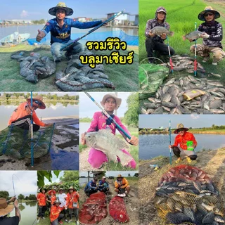 คันชิงหลิวสไลด์ บลูมาเซียร์ ระดับความแข็ง6H