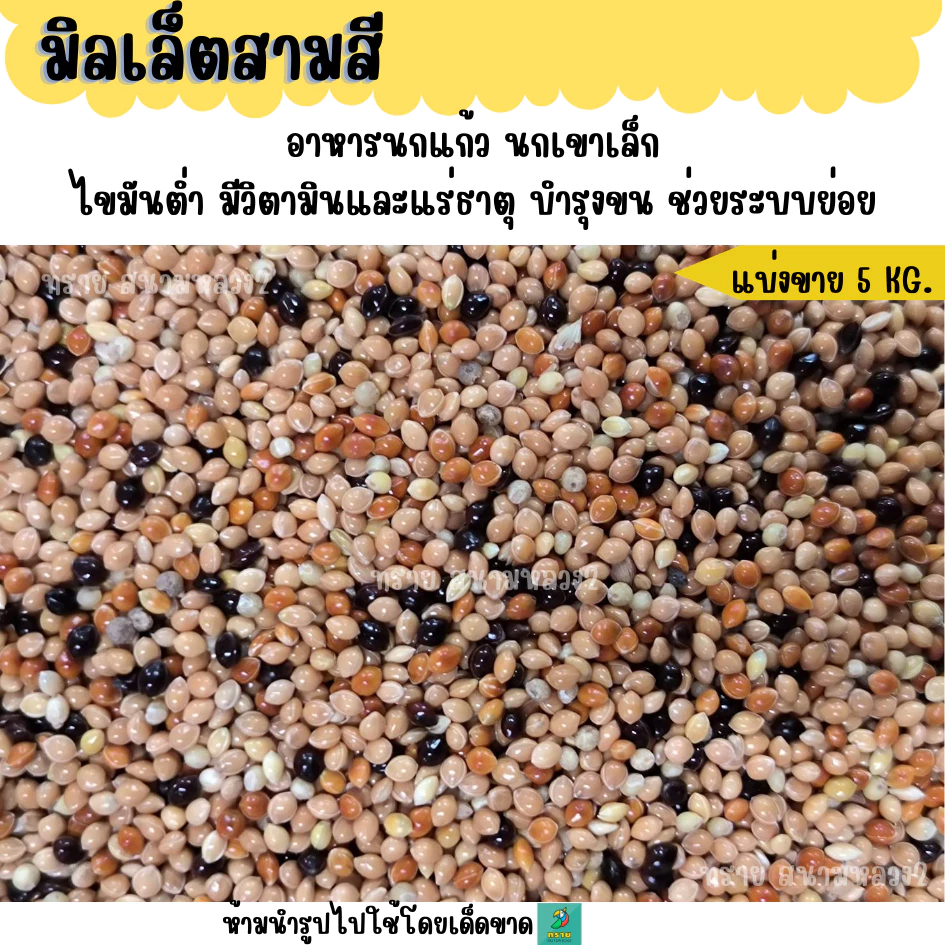 (5 KG./10 KG.) มิลเล็ตสามสี อาหารนกแก้ว นกเขาเล็ก