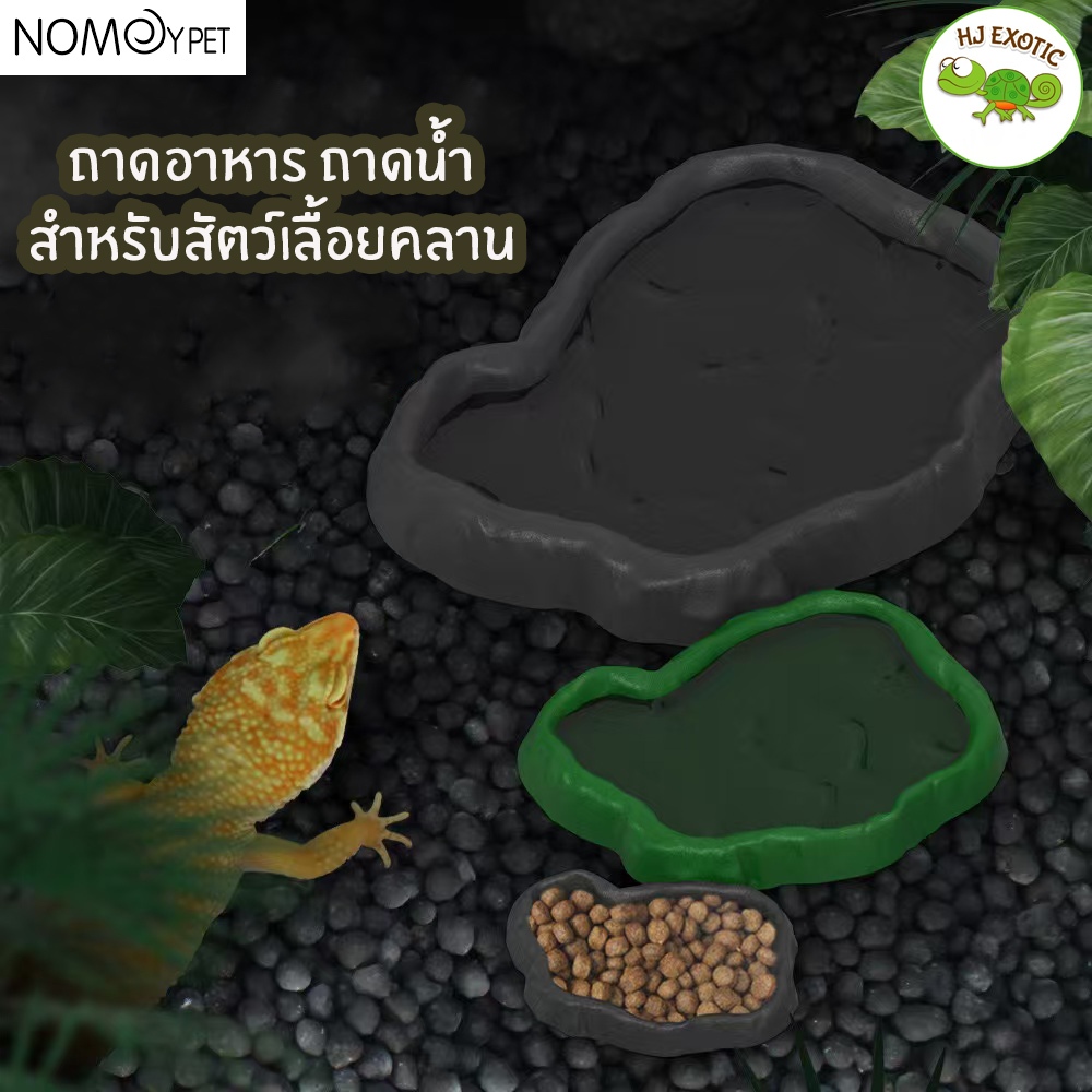 Nomoy pet ถาดพลาสติก ถาดใส่น้ำ ถาดใส่อาหาร สำหรับสัตว์เลื้อยคลาน