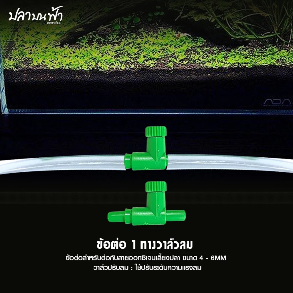 ข้อต่อ MS ROYAL สายยางเลี้ยงปลา ต่อตรง-สามทาง-สี่ทาง ทนทาน thumbnail 3