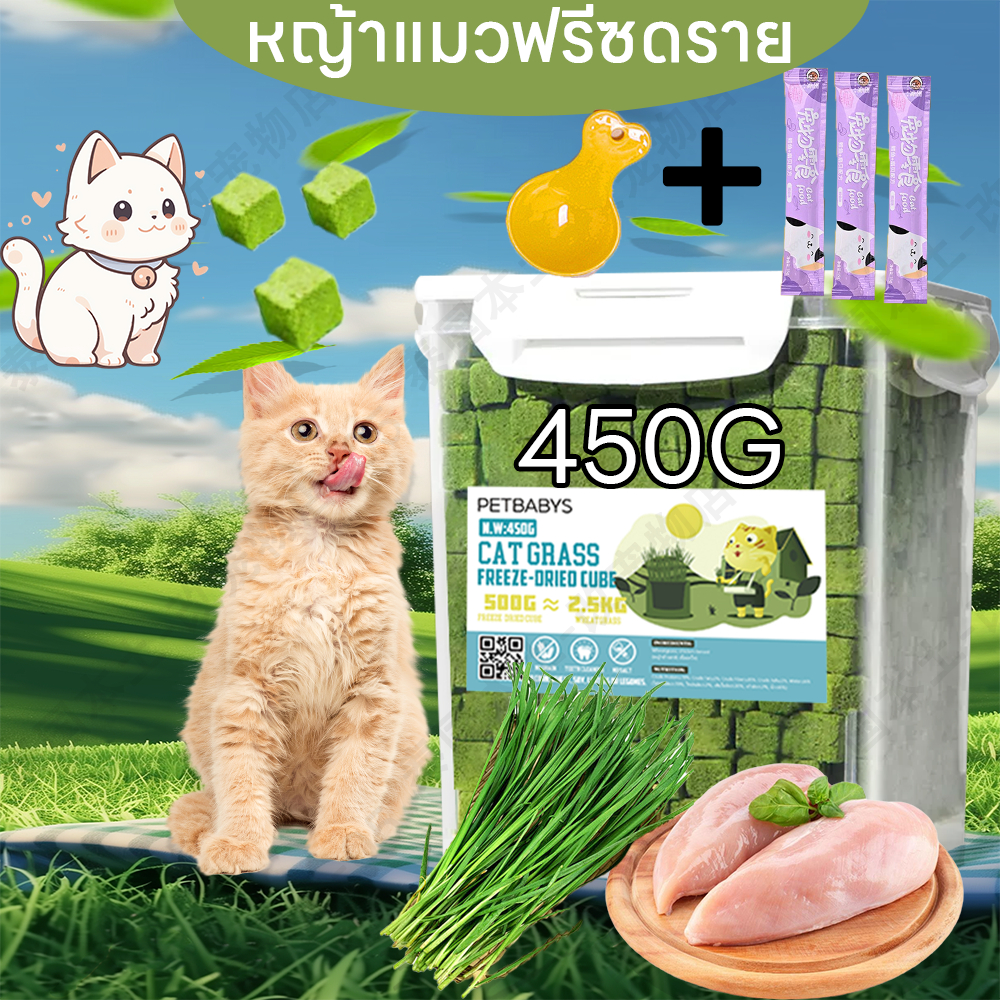 หญ้าแมวอัดแท่ง หญ้าแมวฟรีซดราย หญ้าแมวพร้อมทาน500G ขนมหญ้าแมว ขนมแมวฟรีซดราย หญ้าแมวอบแห้ง