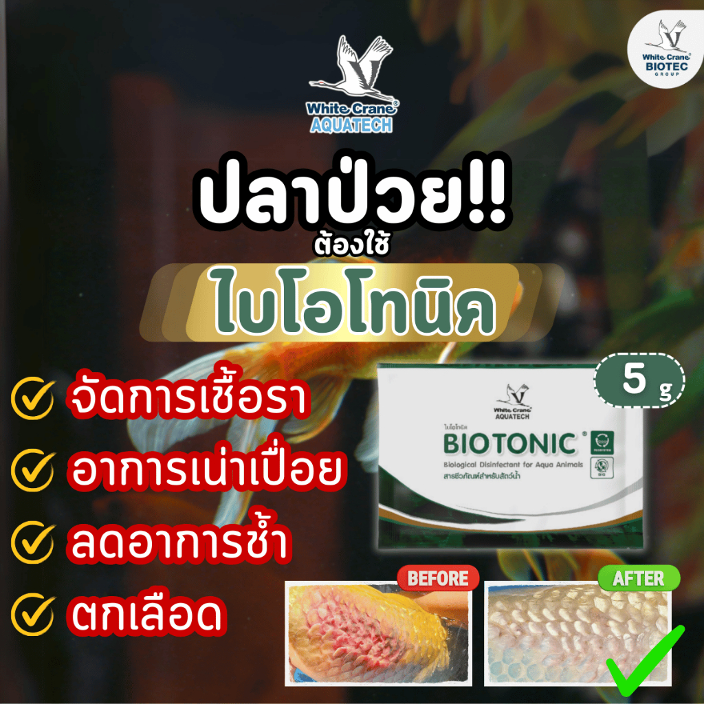 BioTonic ไบโอโทนิค ผลิตภัณฑ์สำหรับจัดการอาการที่เกิดจากเชื้อราและอาการเน่าเปื่อย ขนาด 250 กรัม