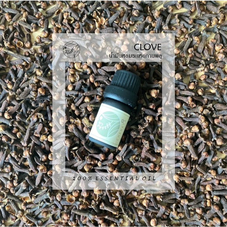 น้ำมันหอมระเหยกานพลู ชานาญา CHANAYA CLOVE BUD 100% Essential oil