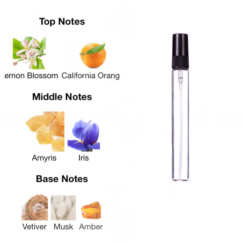 แบ่งขาย น้ำหอมกลิ่นเทียบแบรนด์เนม กลิ่นอัมฤทธิ์ (แนว Amyris Femme/North Bondi) 30 ml