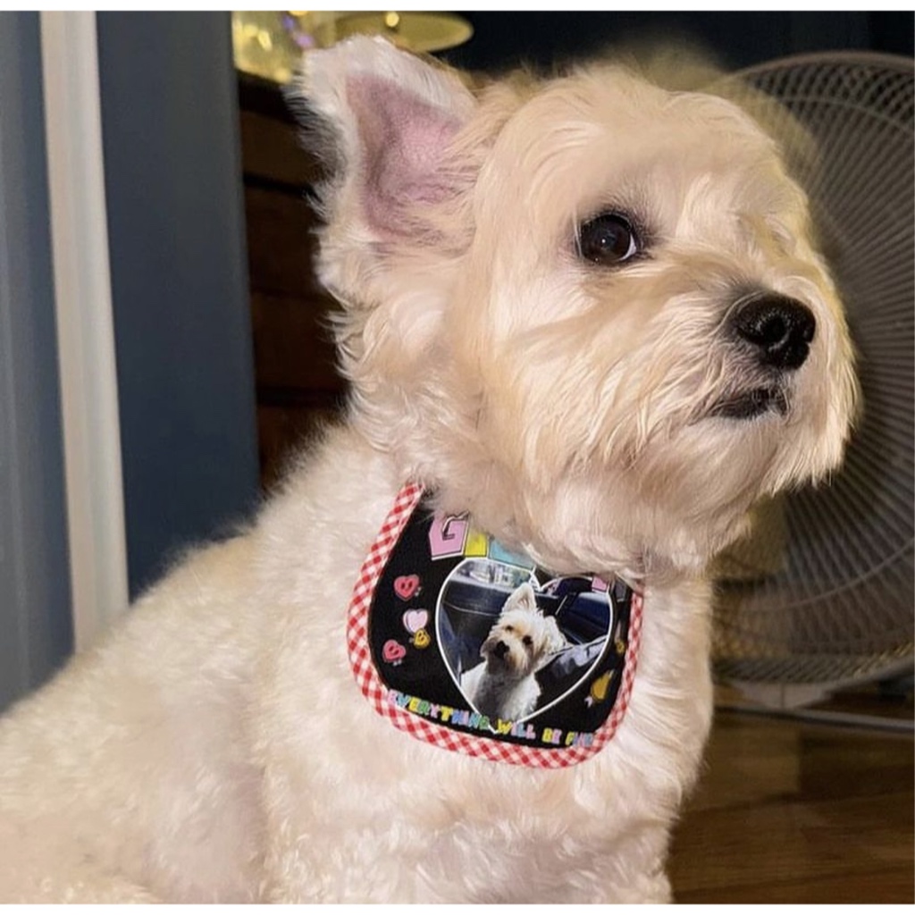 Customized-BIB-ผ้าผูกคอหมาแมว>>>>สามารถเปลี่ยนรูปและข้อความได้**ส่งรูปมาทาง INBOX ได้เลย