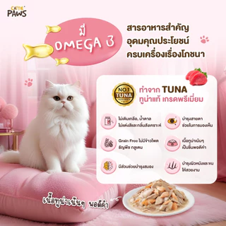 [ยกโหล] Cattie Paws Rich แคทตี้ พาวส์ ริช อาหารเปียกแมว แมวโต ไม่เติมเกลือ ไม่เค็ม ขนาด 70 กรัม ยกกล่อง จำนวน 12 ซอง