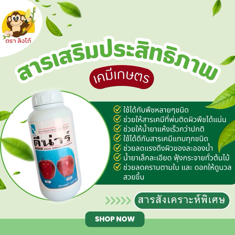 สารเสริมประสิทธิภาพเคมีเกษตร ดีน่า ตราช่อฟ้า