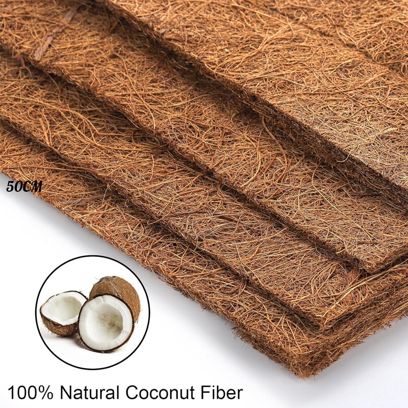 ราคาถูก แผ่นรองพื้นใยมะพร้าวธรรมชาติสำหรับพรมสัตว์เลื้อยคลาน พรมรองที่นอนเต่า งู กิ้งก่า สัตว์เลื้อยคลาน ราคา ถูกที่สุด ดีลบีเคเค แกลเลอรีภาพที่ 4