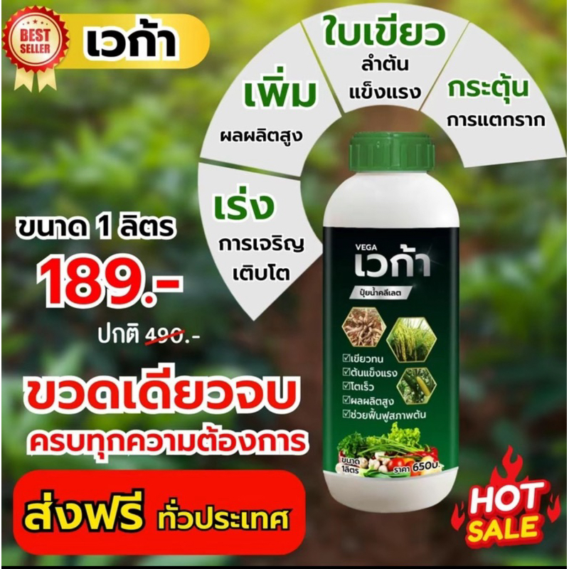 เวก้าเขียว โตไว เร่งราก 1ลิตร