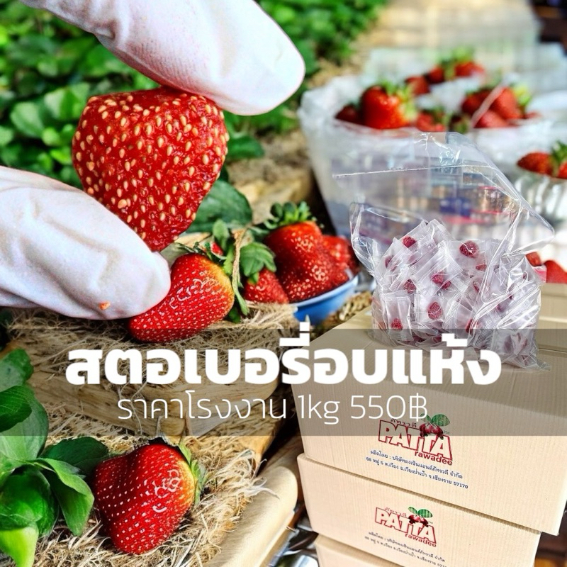 สตรอเบอรี่มินิมอล 1kg อบแห้ง 齋·حلال เปรี้ยวอมหวาน ถุงละชิ้น มินิมอล รับประทานง่าย ผลไม้ อย :5720924760007