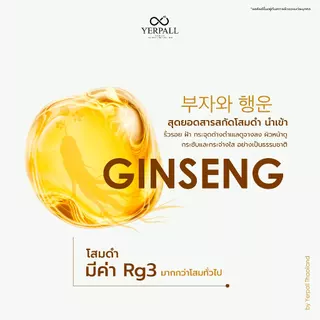 ครีมโสมไฮยา สูตรเข้มข้น ( Intensive Active Ginseng Hya Night Cream)