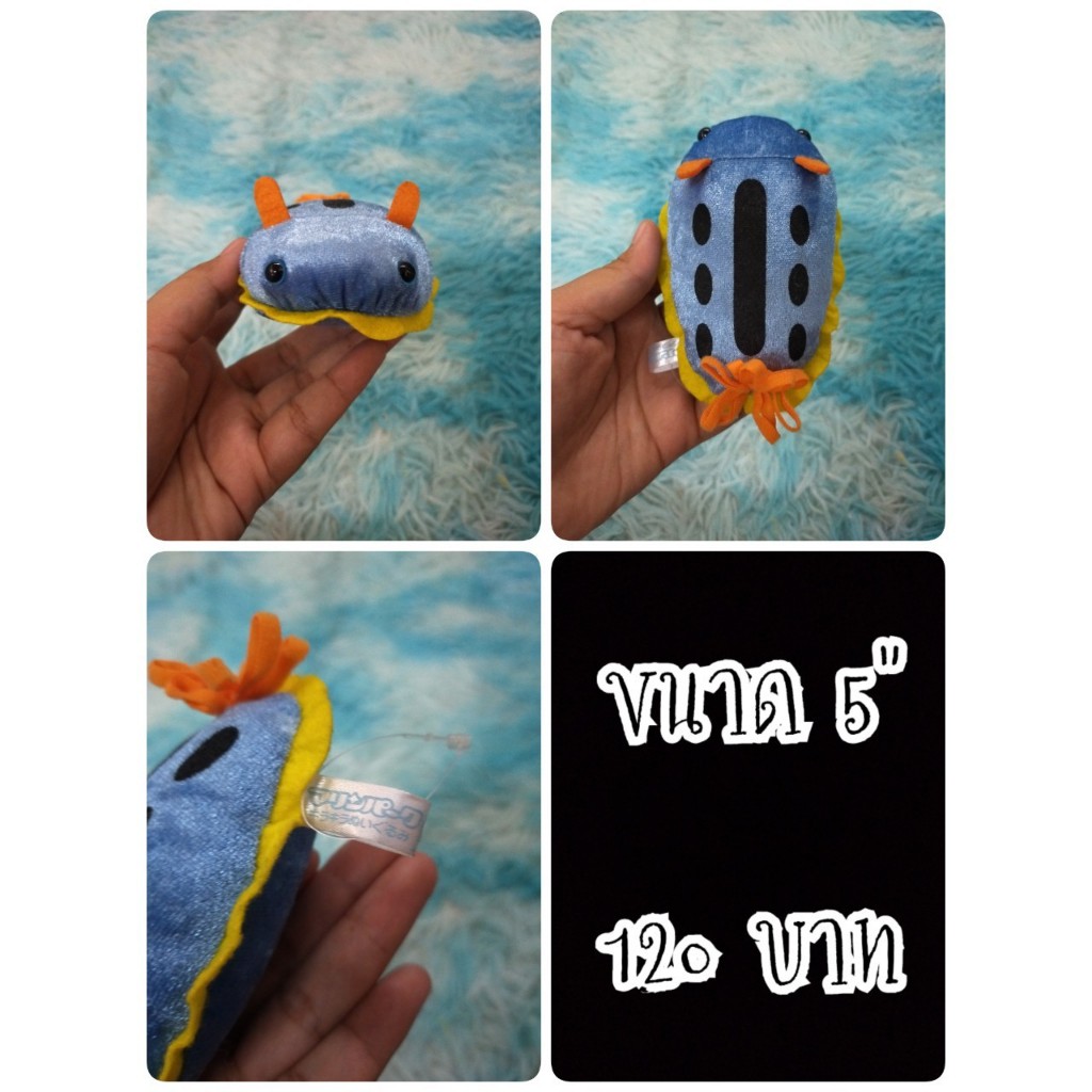 Anna Sea Slug#Anna Sea Marine Park#ทากทะเล#ป้าย Yell#ตุ๊กตาญี่ปุ่นมือสอง