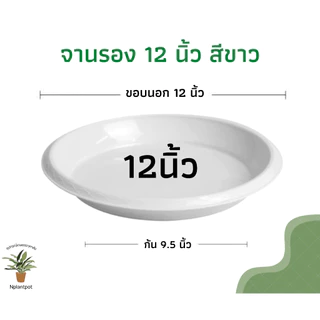 จานรองกระถางต้นไม้ ถาดรองกระถางต้นไม้ จานรองกระถาง จานรองพลาสติก สีขาว 8 นิ้ว 10 นิ้ว 12 นิ้ว 15 นิ้ว 17 นิ้ว