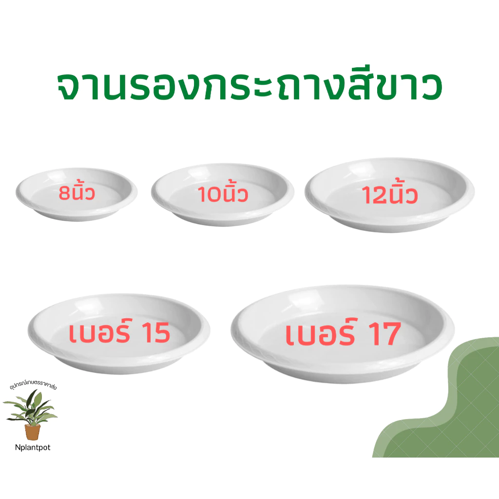 จานรองกระถางต้นไม้ ถาดรองกระถางต้นไม้ จานรองกระถาง จานรองพลาสติก สีขาว 8 นิ้ว 10 นิ้ว 12 นิ้ว 15 นิ้ว 17 นิ้ว
