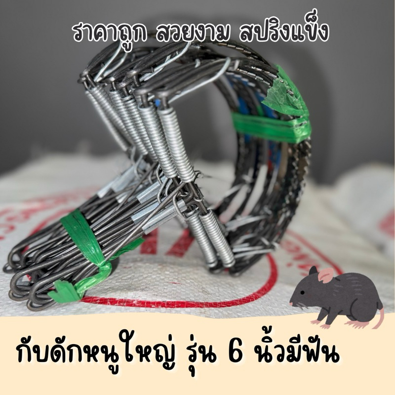 กลับดักหนู ขนาด 6 นิ้วมีฟัน กับดักเวียดนาม กับครึ่งวงกลม
