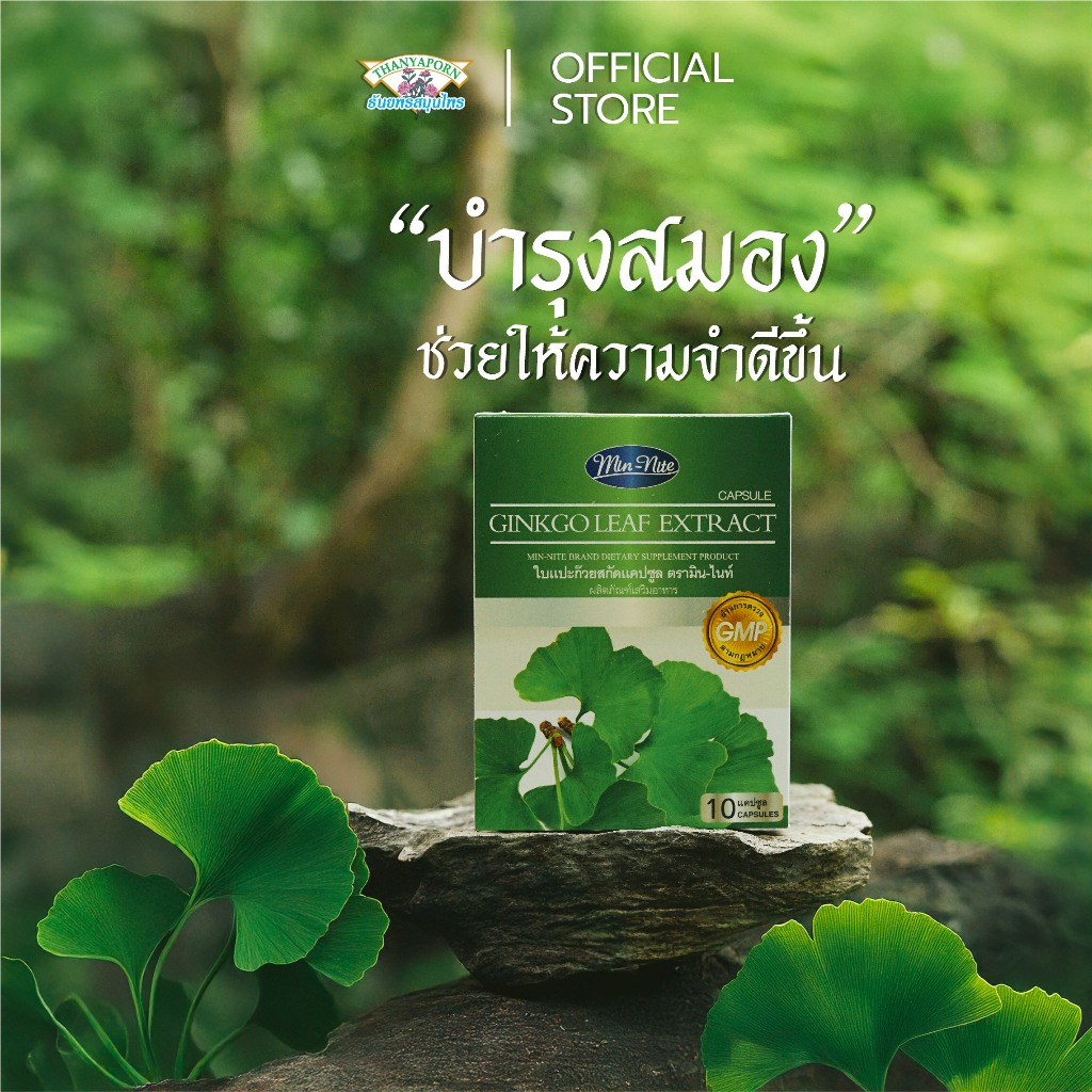 อาหารเสริม แคปซูลแปะก๊วยสกัด