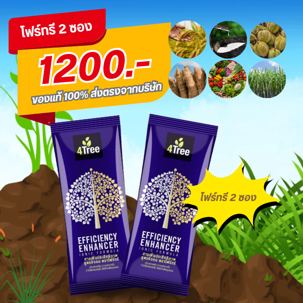 4Tree (โฟร์ทรี) 2 ซอง ใช้ได้กับพืชทุกชนิด