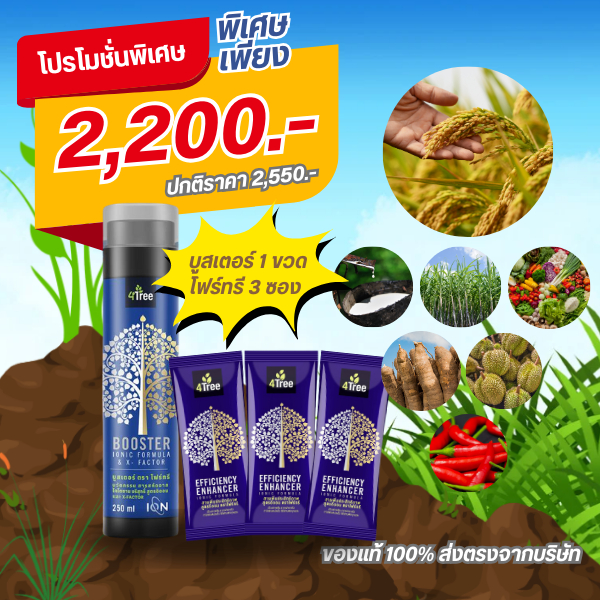 4tree (โฟร์ทรี) + Booster (บูสเตอร์) 1 ชุด ใช้ได้กับพืชทุกชนิด