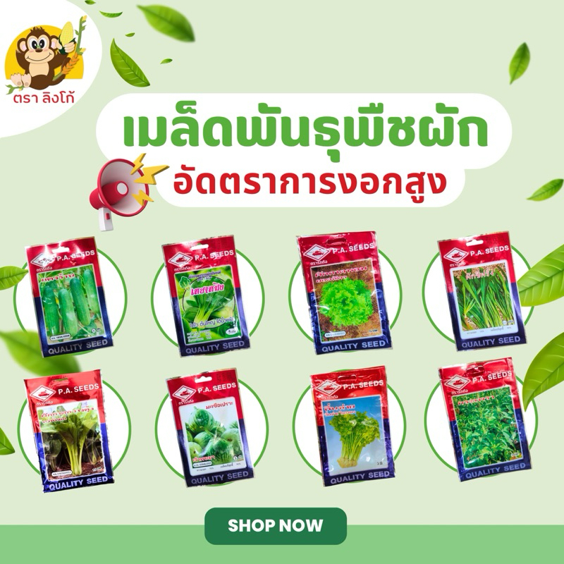 เมล็ดพันธุ์ ตรารถถัง P.A Seed รากเเรง รูปเเบบซอง 300-2000เมล็ดพืชผักสวนครัว การันตีอัตรางอก