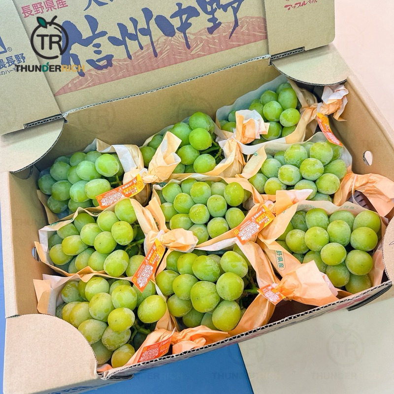 ส่งฟรี‼️สินค้าเข้าใหม่ 16/11/67‼️Shine Muscat Grapes🍇🇯🇵องุ่นไชน์มัสแคทนำเข้าจากประเทศญี่ปุ่น✈️