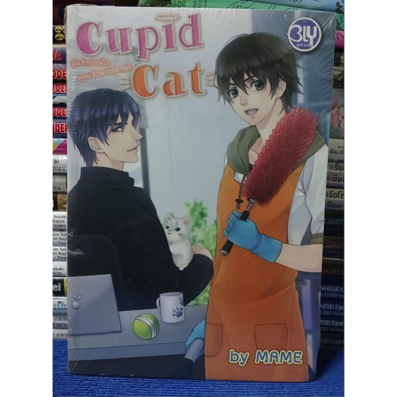 Cupid Cat ลุ้นรักป่วนใจคุณเจ้านายสุดหล่อ by NAME/หนังสือนิยาย /หนังสือในซีล