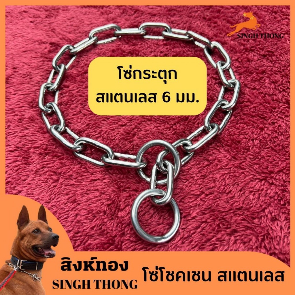 SinghThong โซ่ฝึกสุนัข โซ่ปลอกคอสุนัข โซ่กระตุก สแตนเลสแท้ 304 หนา 6 มม. เส้นใหญ่ ไม่ขึ้นสนิม