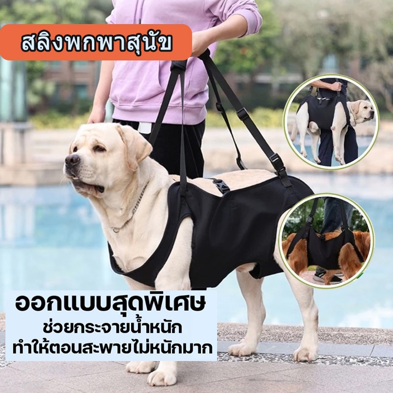 สายรัดพยุงขา ปรับได้ สําหรับสุนัข ลูกสุนัข บาดเจ็บ เครื่องมือฟื้นตัวข้อ สุนัข ลดแรงกระแทกที่ข้อเข่า