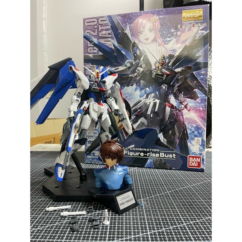 Mg 1/100 Freedom Gundam Ver 2.0 & Figure Rise Bust Kira Yamato (มือ 2 จัดส่งฟรี)