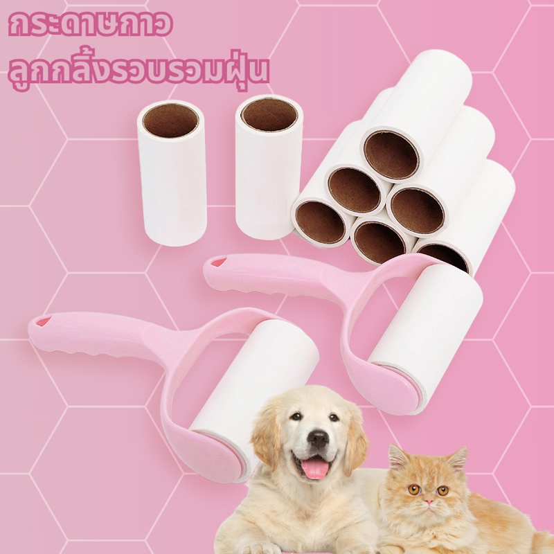 รูปภาพ 7