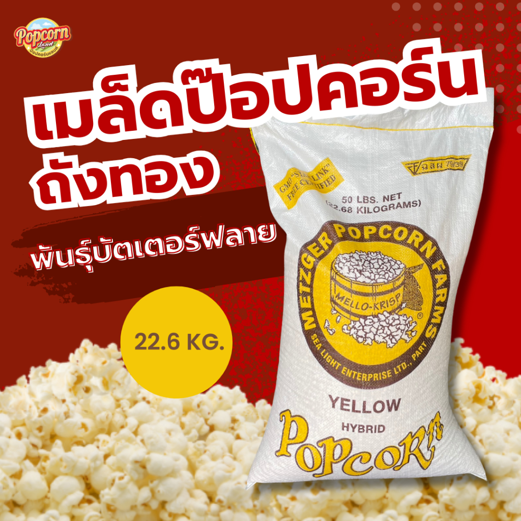 เมล็ดข้าวโพดบัตเตอร์ฟราย พันธ์ผีเสื้อ เมล็ดข้าวโพดป๊อปคอร์น ตราถังทอง ยกกระสอบ 22.68 k (พร้อมส่ง)
