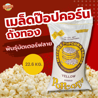 เมล็ดข้าวโพดบัตเตอร์ฟราย พันธ์ผีเสื้อ เมล็ดข้าวโพดป๊อปคอร์น …