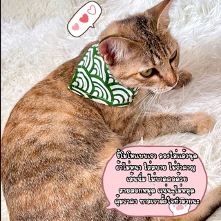 (P1)(สายนิ่ม ไม่บาดคอ)ปลอกคอแมว ผ้าพันคอแมว ตัวล็อคนิรภัย ราคาถูก